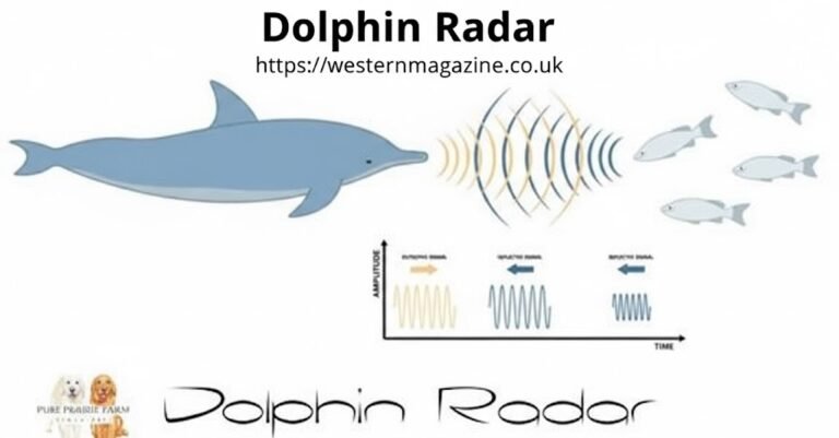 Dolphin Radar