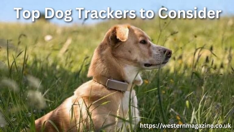 Top Dog Trackers to Consider