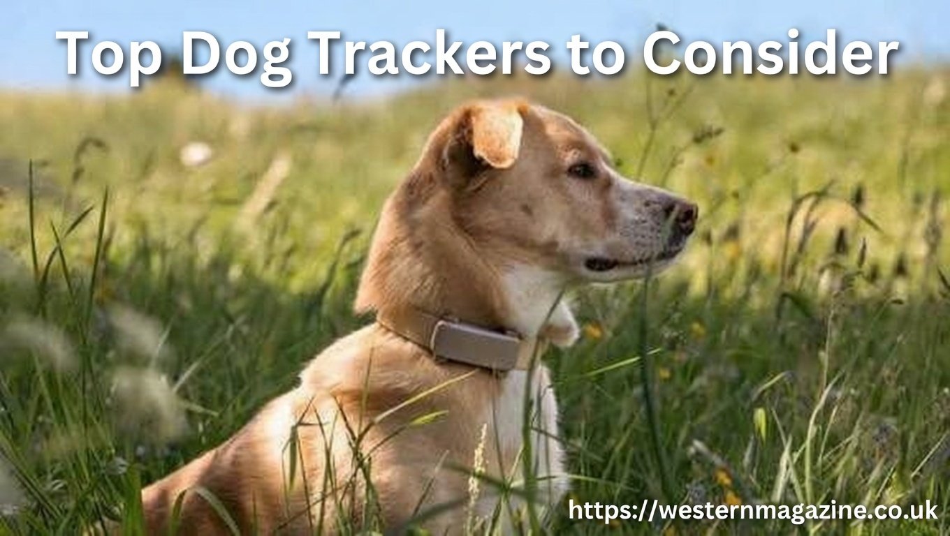 Top Dog Trackers to Consider