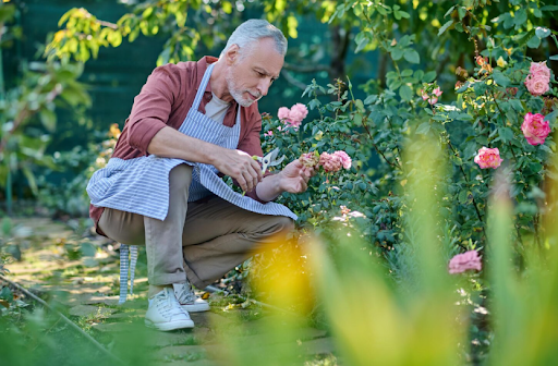 gardening